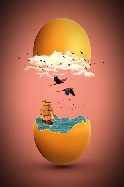 comment sortir de sa coquille