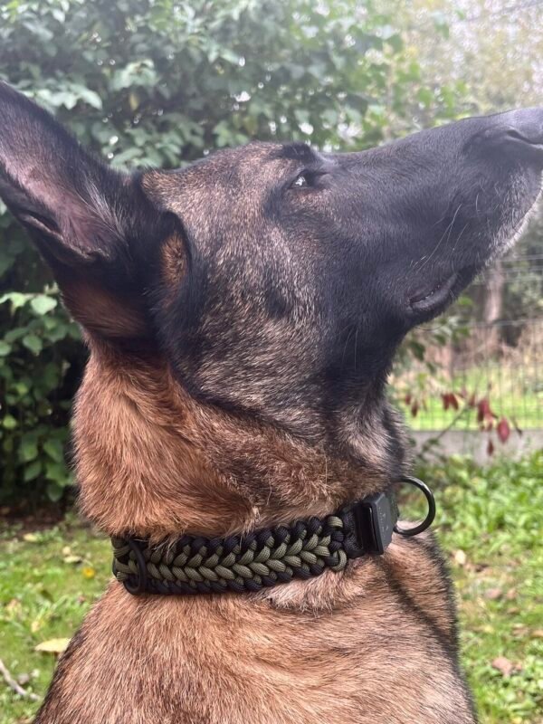 Collier Paracorde Seika Werwolf.K9 – Image 5