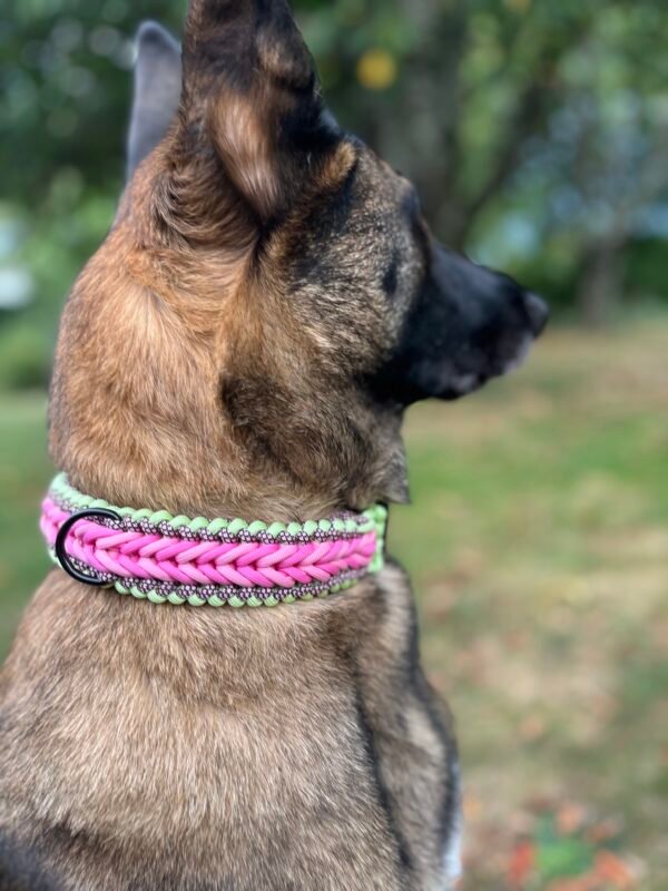 Collier chien Paracorde Flashk9 – Image 3