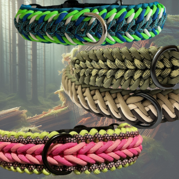 Colliers Chiens et Chats en Paracorde